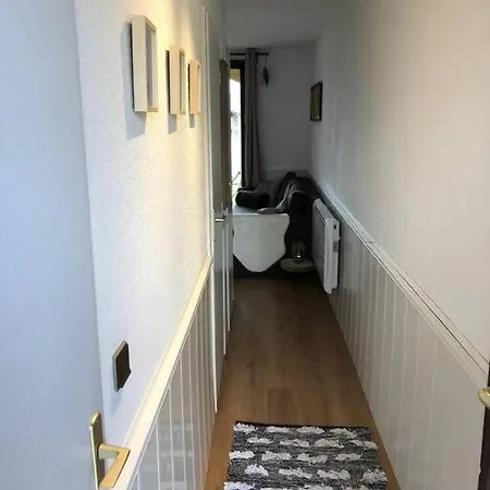 Bleuets Ii Sainte-Leocadie