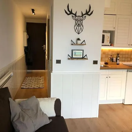 Bleuets Ii Sainte-Leocadie